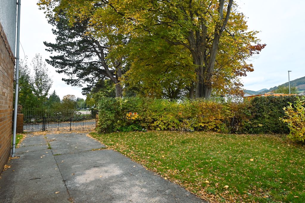 Side Garden- click for photo gallery